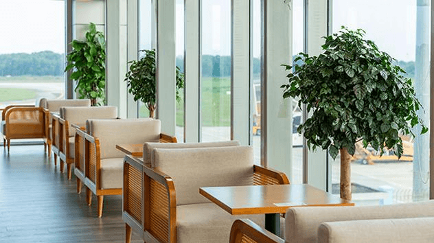 Main Image Main Image