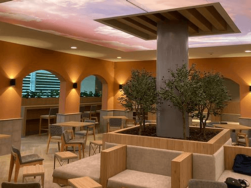 Main Image Main Image