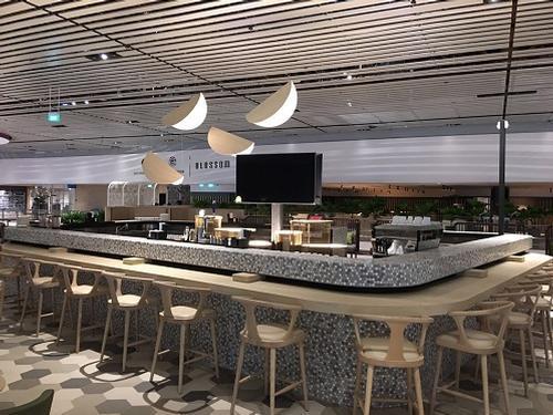 Blossom Lounge, Singapore Changi International, Singapore Blossom Lounge, Singapore Changi International, Singapore
