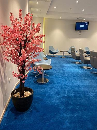 Pearl Lounge_Alexandria-Egypt Pearl Lounge_Alexandria-Egypt