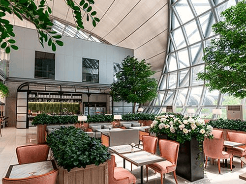 The Coral Executive Lounge_Bangkok Suvarnabhumi_Thailand The Coral Executive Lounge_Bangkok Suvarnabhumi_Thailand